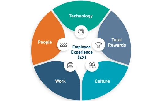 Employee Experience