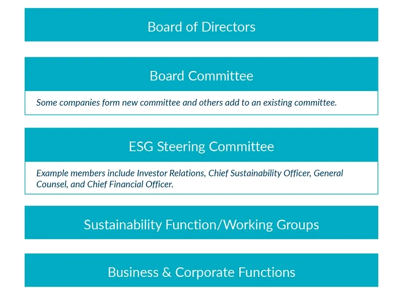 Example sustainability program governance structure