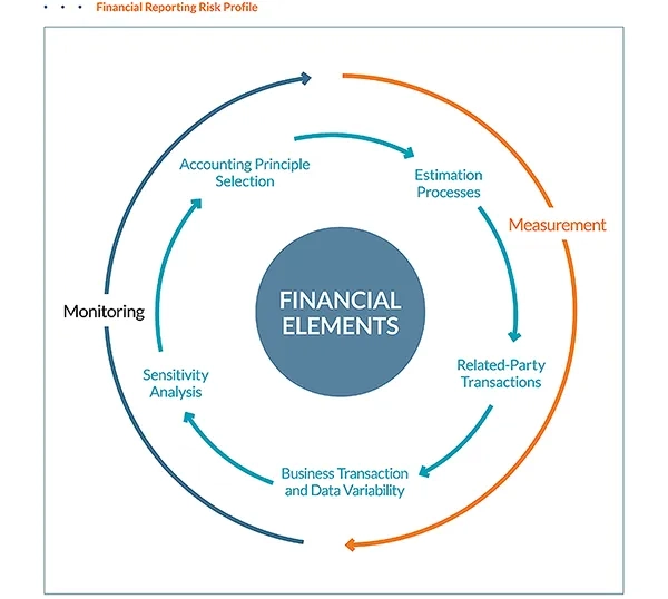 Financial reporting risk profile