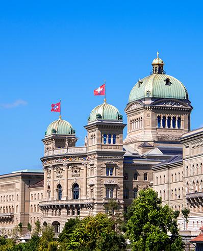 Public sector consulting services in Switzerland