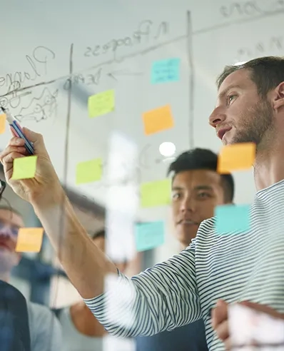 Portfolio program and project management function Protiviti Australia